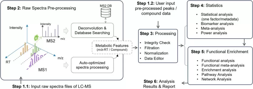 LC-MS untargeted metabolomics workflow based on MetaboAnalystR 4.0. LC-MS untargeted metabolomics workflow based on MetaboAnalystR 4.0.